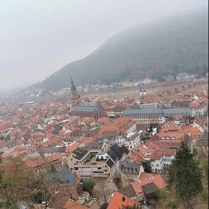 e11.jpg